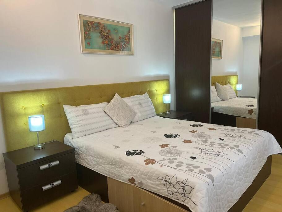 Apartament Theta- langa centru, cada hidromasaj Suceava Exterior foto